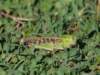 Photo Number 11