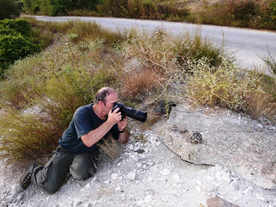 Photograph