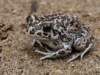 Photo Number 11