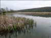 Photo Number 6