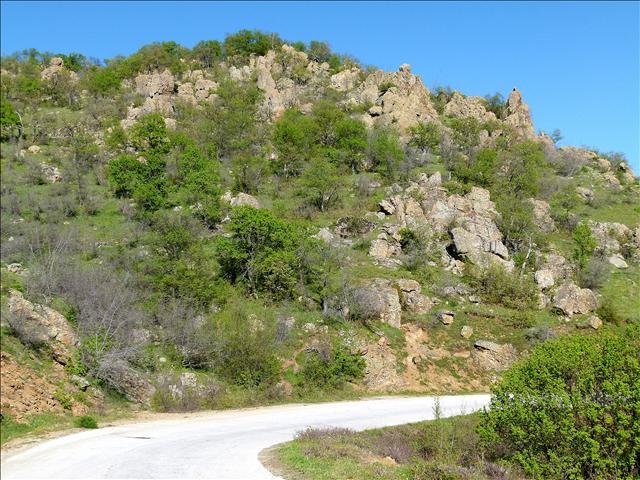 Photograph