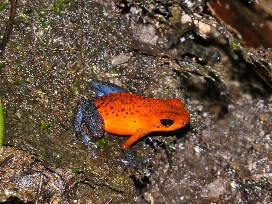 Photograph