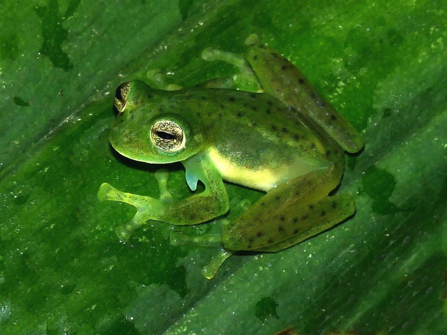 Photograph