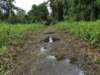 Photo Number 6