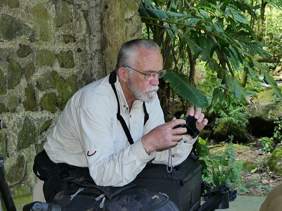 Photograph