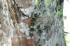 Photo Number 5