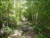 Photo Number 13