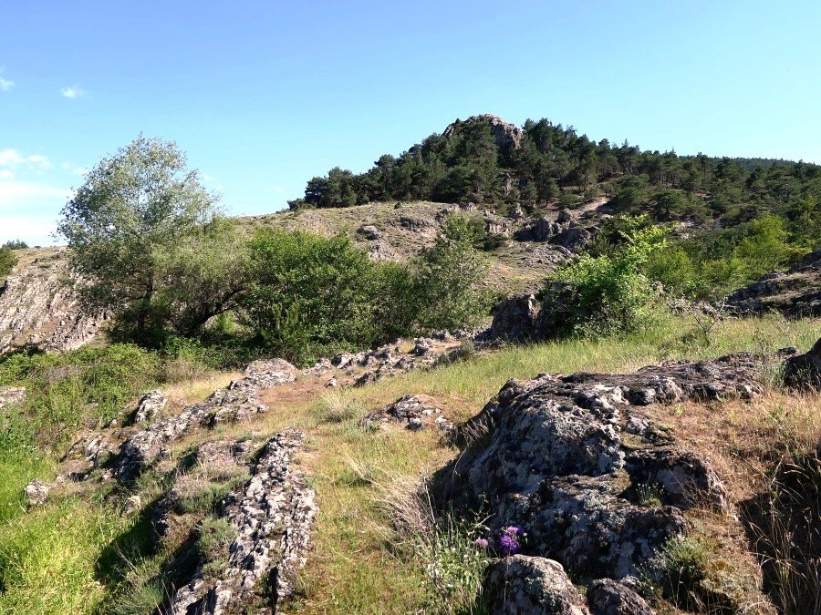 Photograph