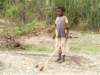 Photo Number 19