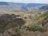 Photo Number 3