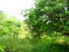Photo Number 4