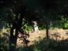 Photo Number 9