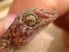 Photo Number 12