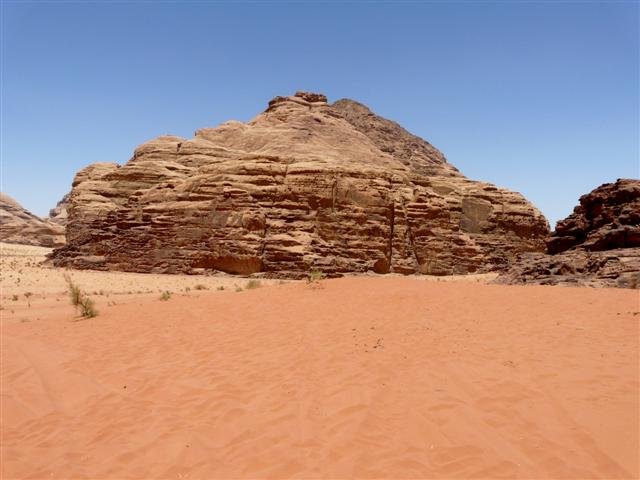 Photograph