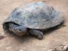 Photo Number 2