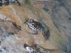 Photo Number 9