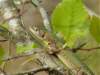 Photo Number 8