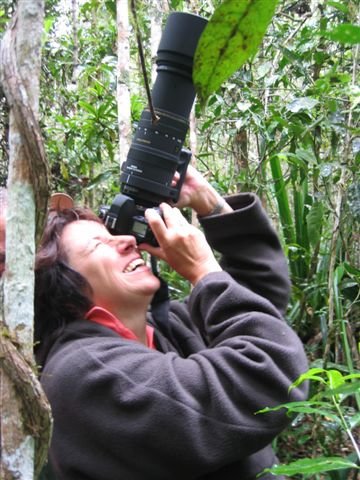 Photograph