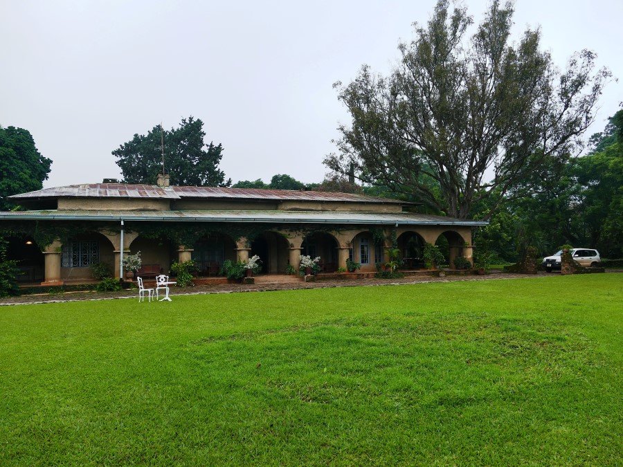 Photograph