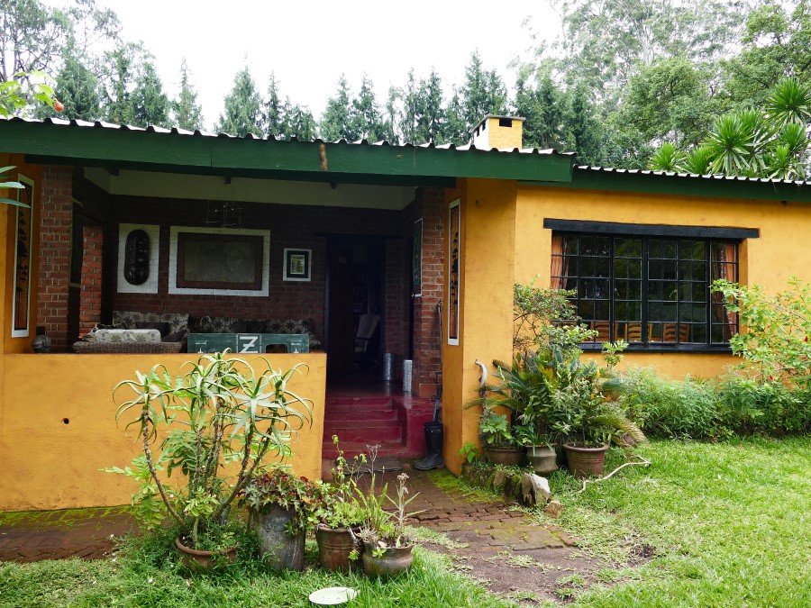 Photograph