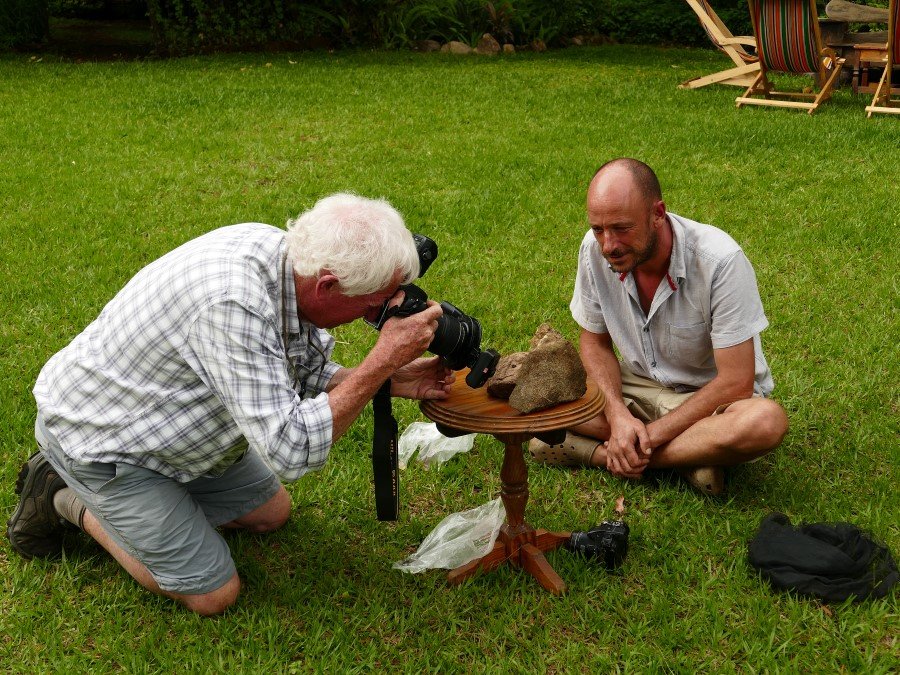 Photograph