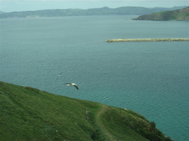 Photograph