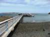Photo Number 6