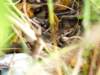 Photo Number 7