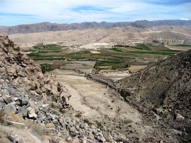 Photograph
