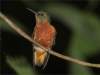 Photo Number 11