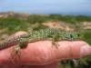 Photo Number 6