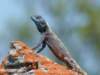Photo Number 1