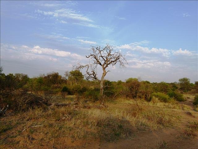 Photograph