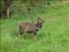 Photo Number 57