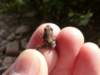 Photo Number 4