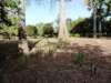 Photo Number 6