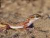 Photo Number 15