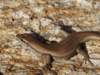 Photo Number 58