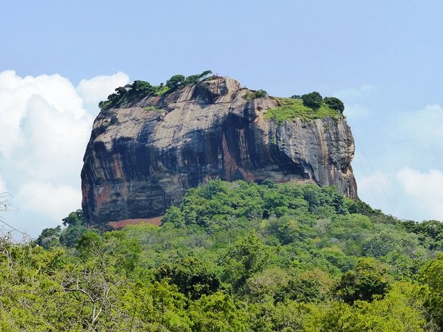 Photograph