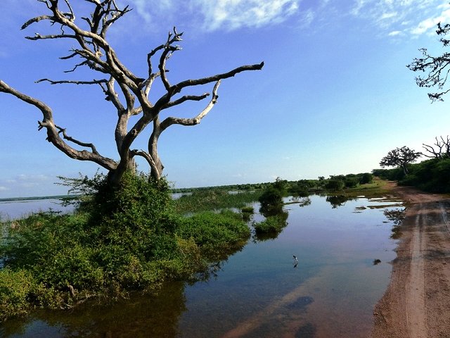 Photograph