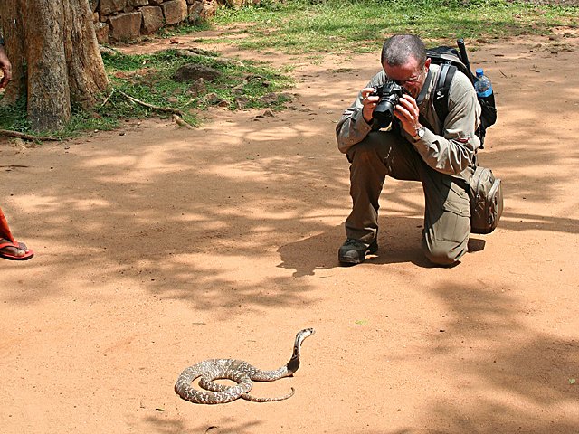 Photograph