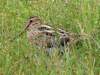 Photo Number 19