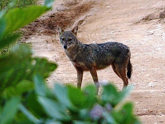 Photograph
