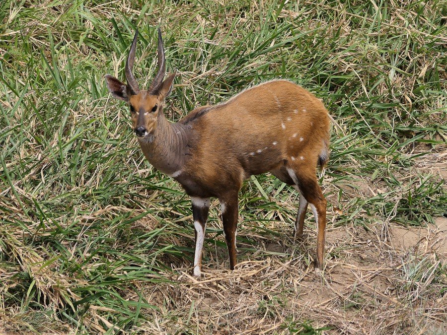 Photograph