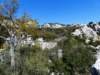 Photo Number 5