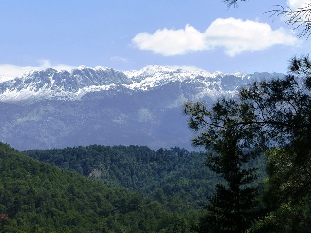 Photograph