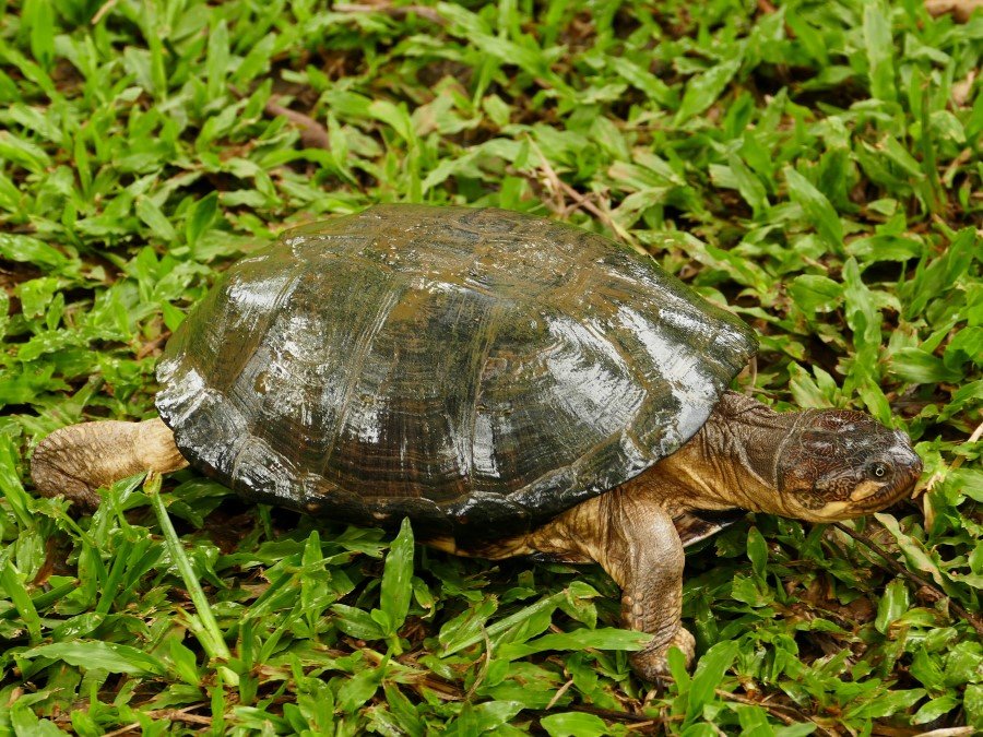 Photograph
