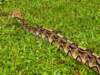 Photo Number 29