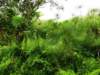 Photo Number 26