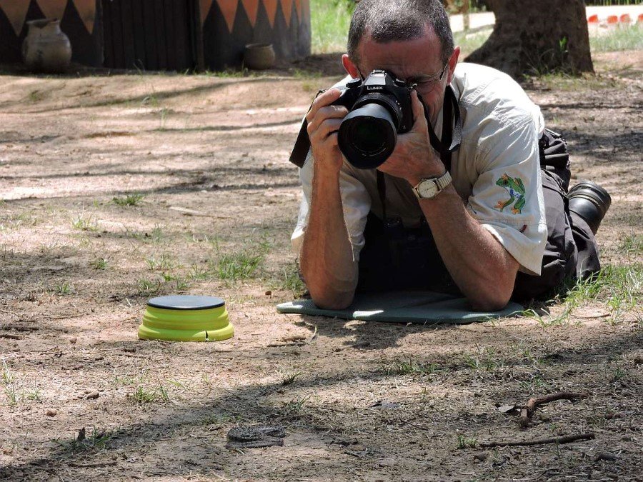 Photograph